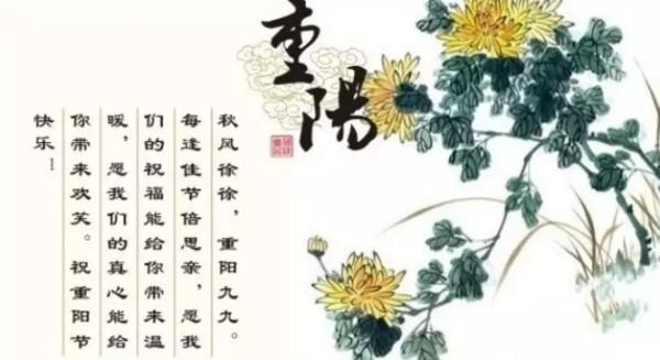 Saba体育 - 您的专属电较量事主场